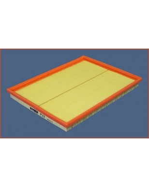 P017 - Filtre à air