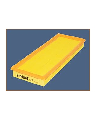 P024 - Filtre à air