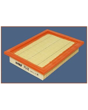 P048 - Filtre à air