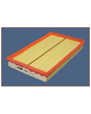 P063 - Filtre à air