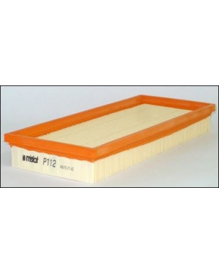 P112 - Filtre à air