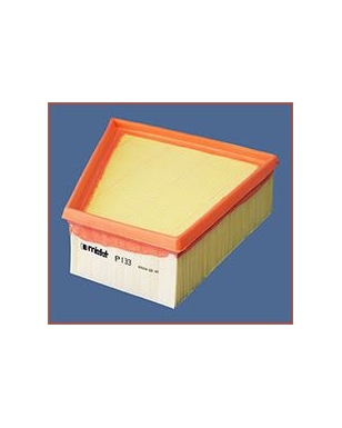 P133 - Filtre à air