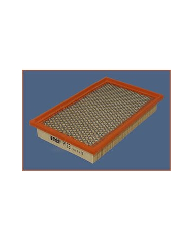 P172 - Filtre à air