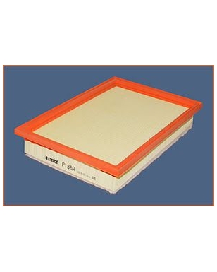 P183A - Filtre à air