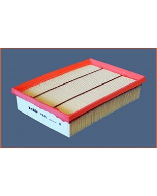 P245 - Filtre à air