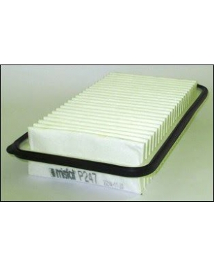 P247 - Filtre à air