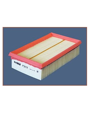 P319 - Filtre à air