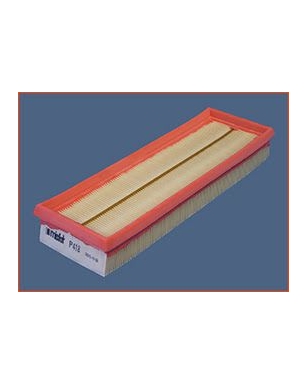 P418 - Filtre à air