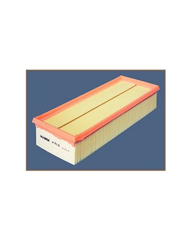 P419 - Filtre à air