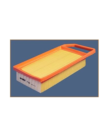 P426 - Filtre à air