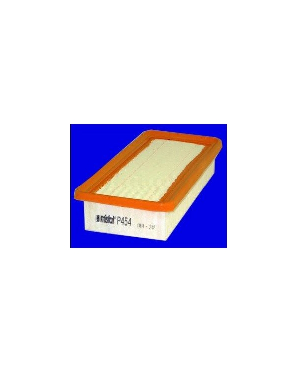 P454 - Filtre à air