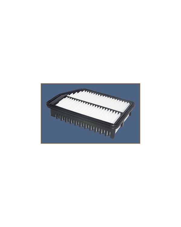 P552 - Filtre à air