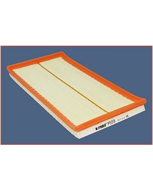 P559 - Filtre à air