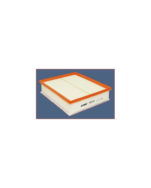 P591A - Filtre à air