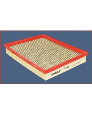 P598 - Filtre à air
