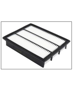 P602 - Filtre à air