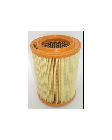 R195 - Filtre à air