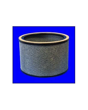 FO1538 - Filtre à air