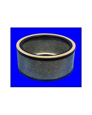 FO1543 - Filtre à air