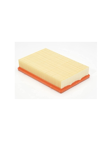 P246 - Filtre à air