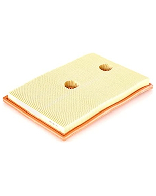 P255 - Filtre à air