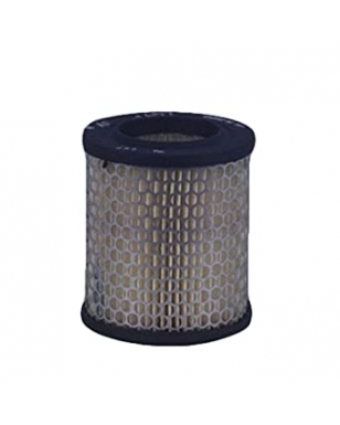 RM727 - Filtre à air